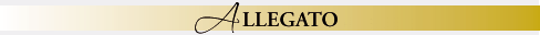 Sezione Allegato